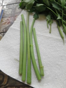 lovage stems can be used as a straw